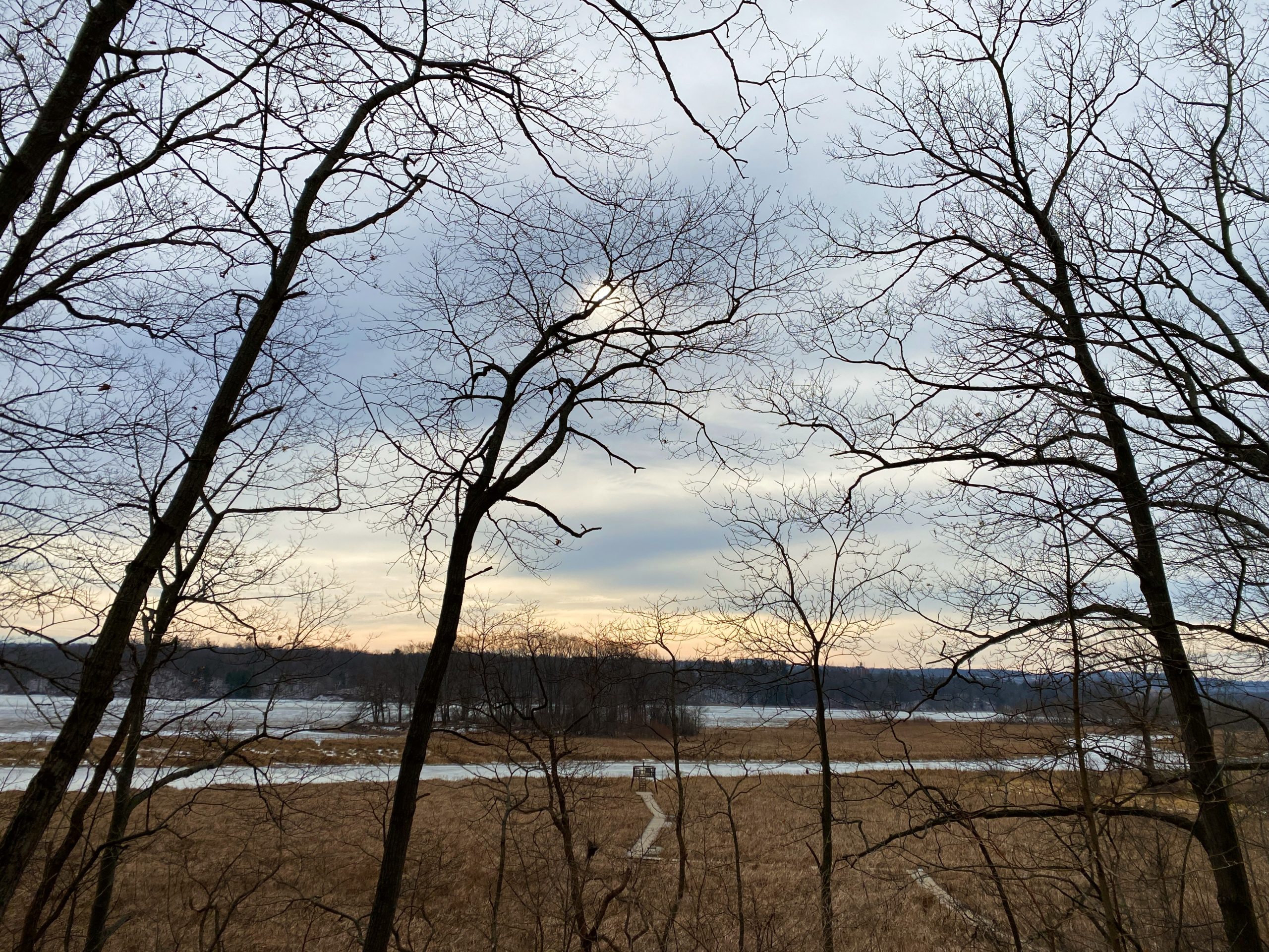 view of the marsh walk at Cootes Paradise