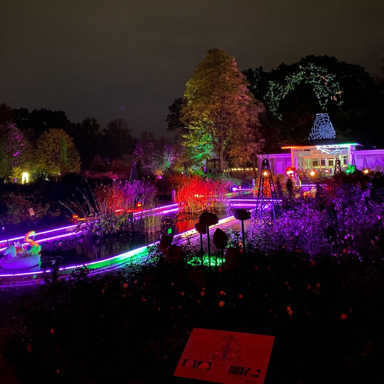 woman walking down lit garden pathway after dark