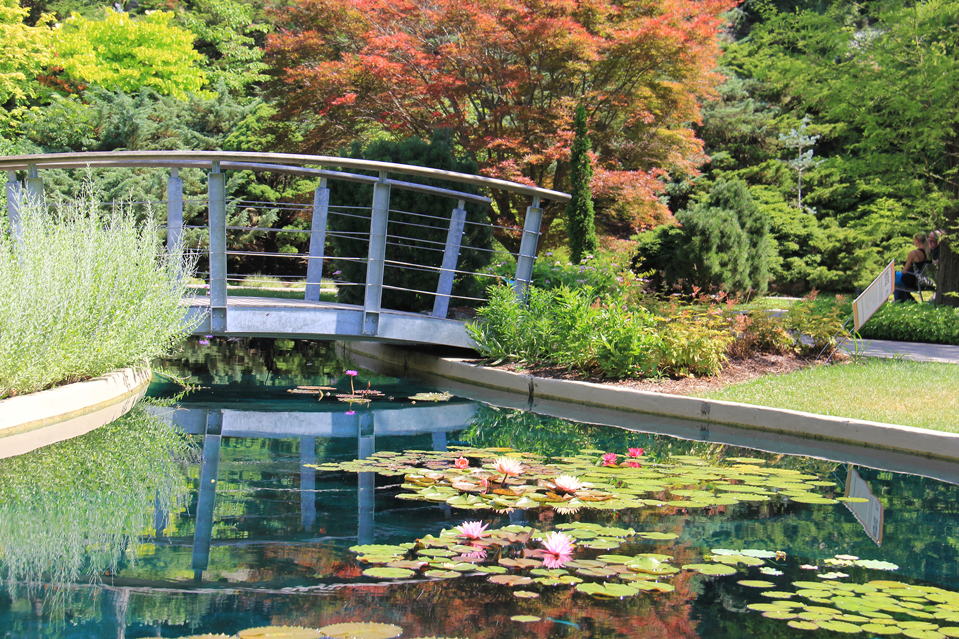 arched metal bridge over a water feature at rock garden, featuring water lilies, and surrounded by greenery